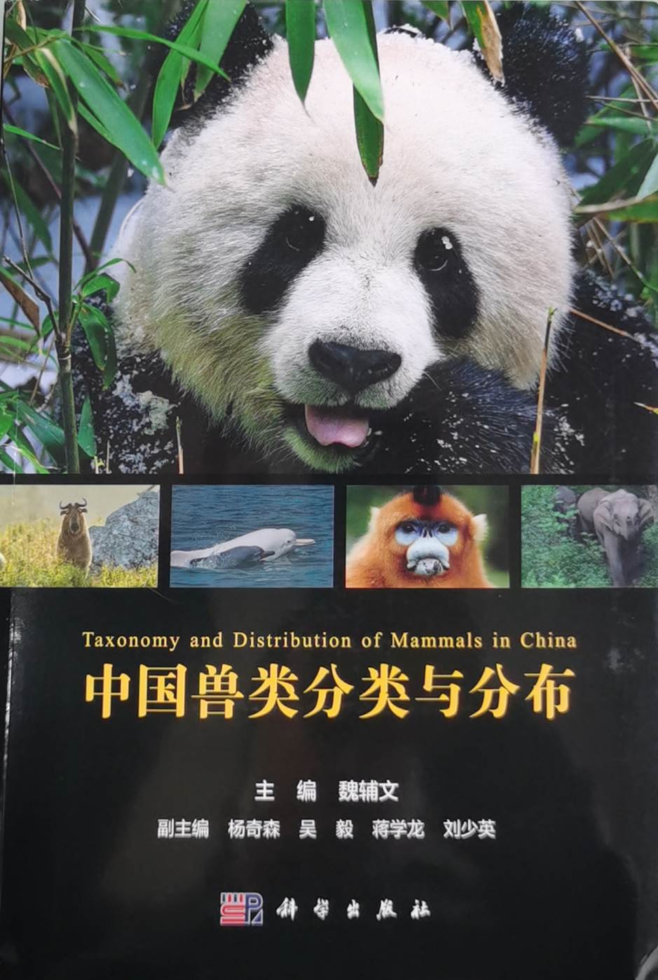 《中国兽类分类与分布》封面